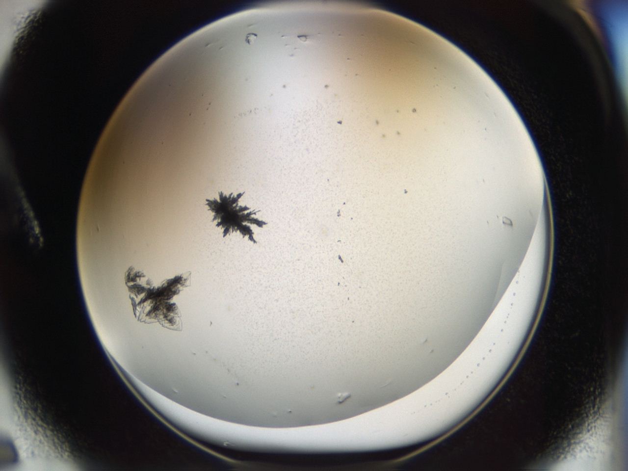 04m8_A6_ImagerDefaults_6.jpg
