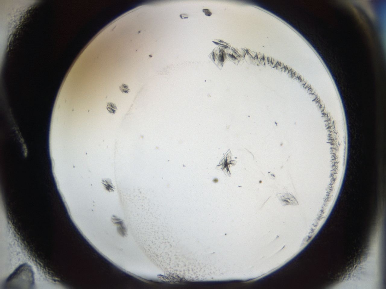 04m8_A11_ImagerDefaults_6.jpg
