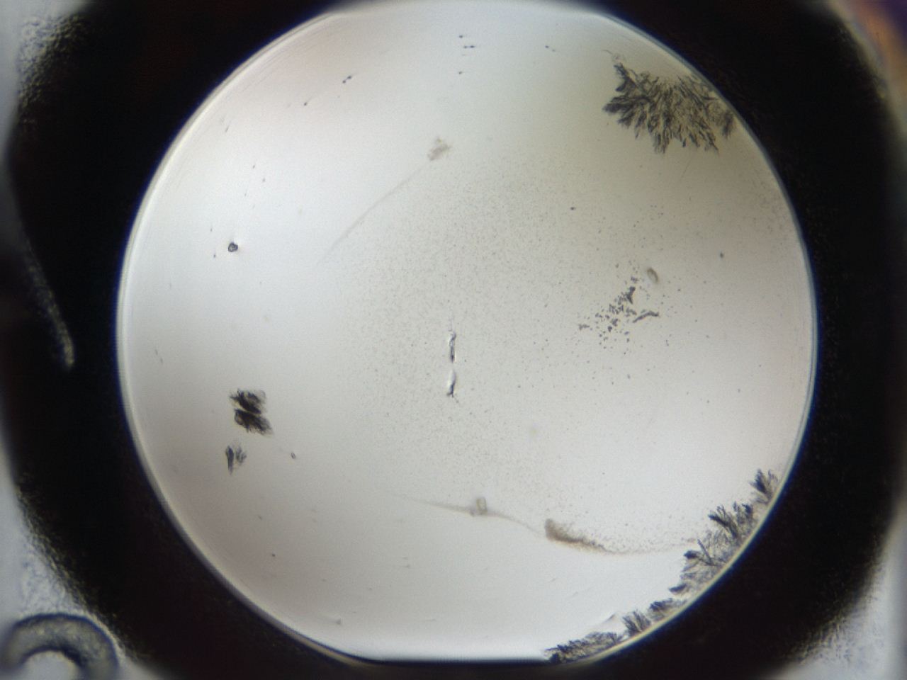04m8_A12_ImagerDefaults_6.jpg