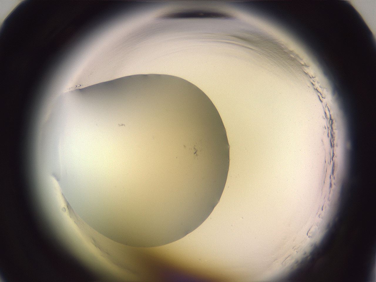 folderID640_plateID2640_batchID13294_wellNum9_profileID1_d1_r214503_ef.jpg