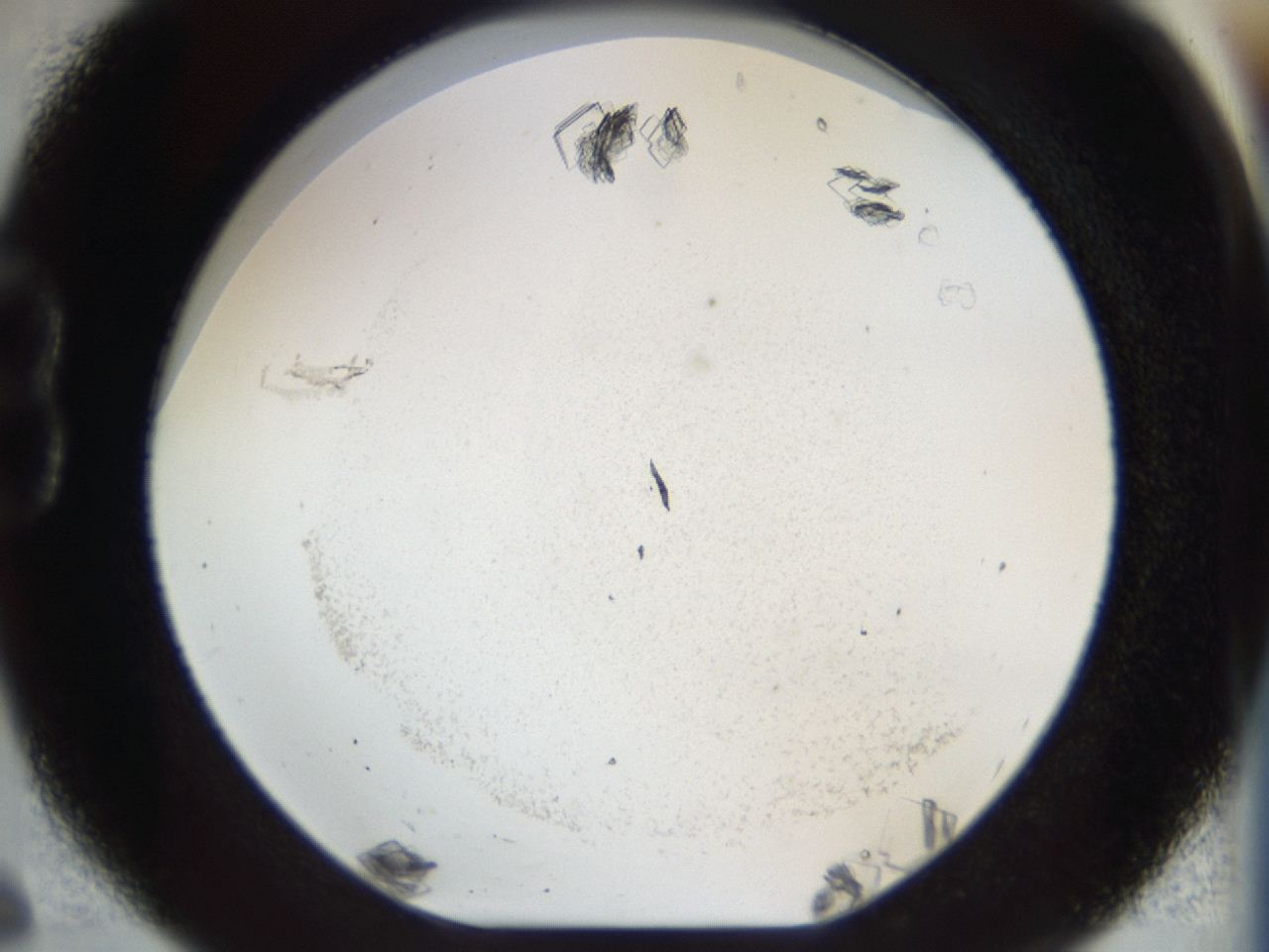 04m8_B6_ImagerDefaults_9.jpg
