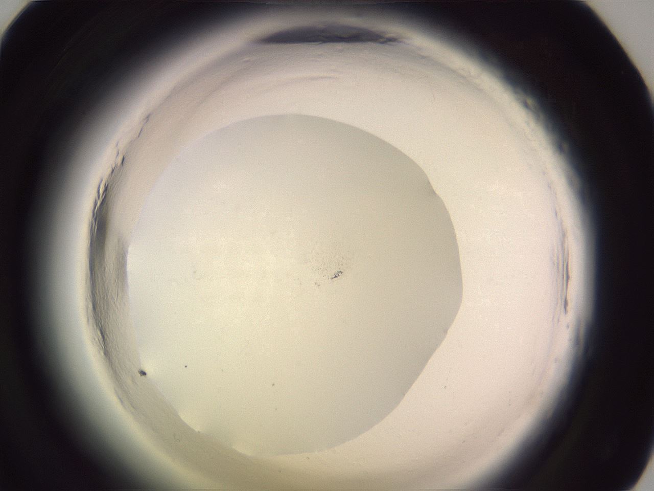 folderID640_plateID2640_batchID15040_wellNum45_profileID1_d1_r214611_ef.jpg