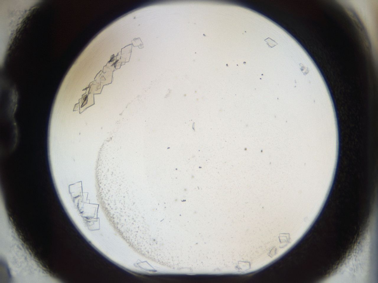 04m8_B8_ImagerDefaults_9.jpg
