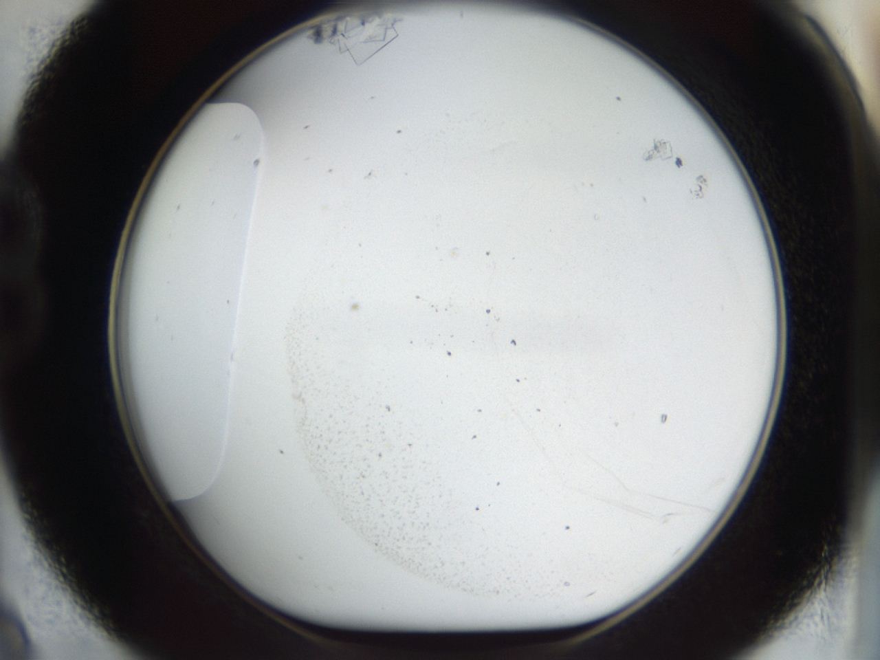 04m8_B9_ImagerDefaults_7.jpg