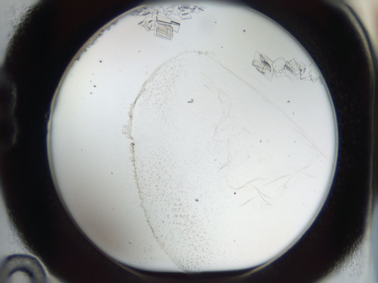 04m8_B10_ImagerDefaults_8.jpg