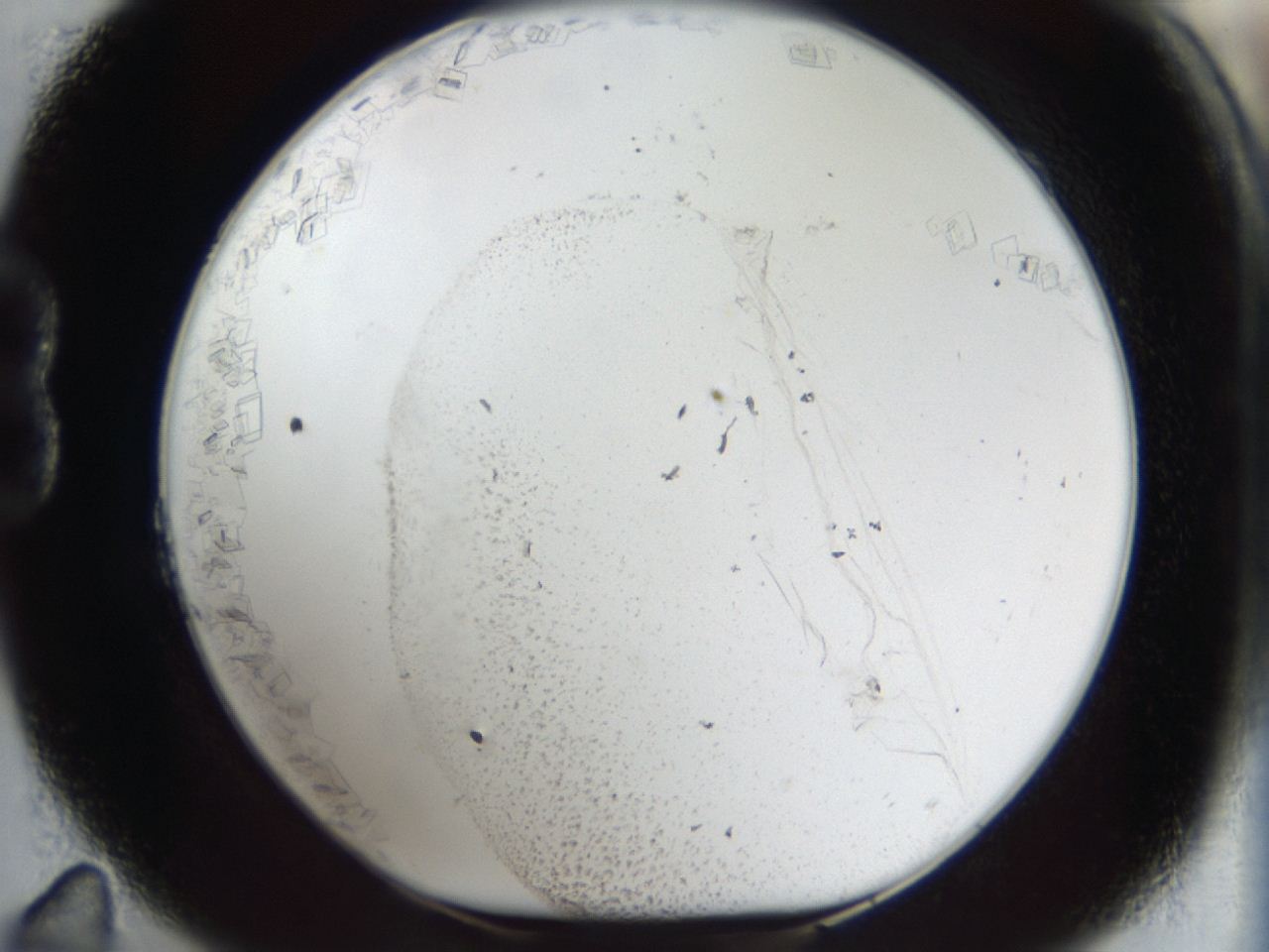 04m8_B11_ImagerDefaults_7.jpg