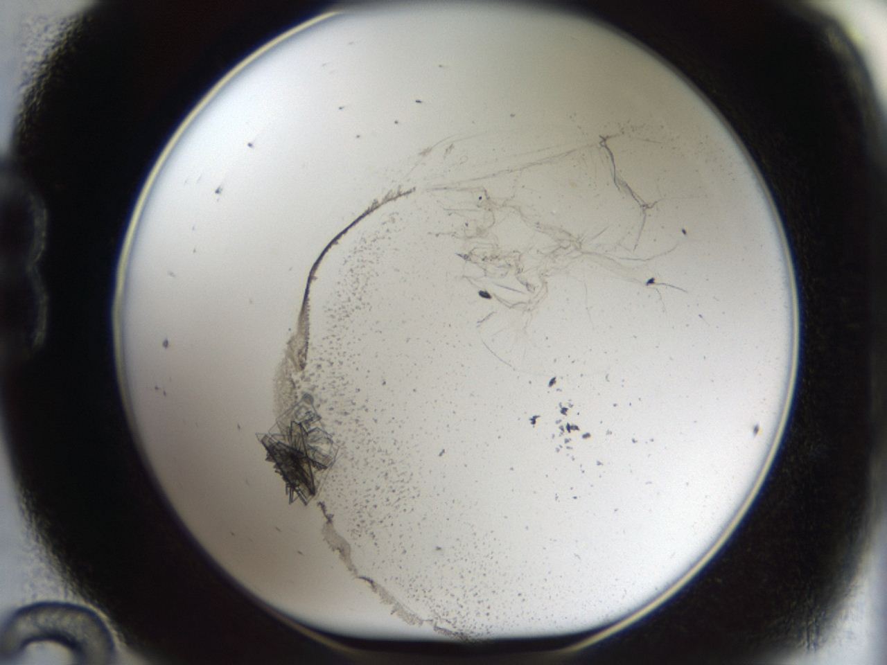 04m8_B12_ImagerDefaults_7.jpg