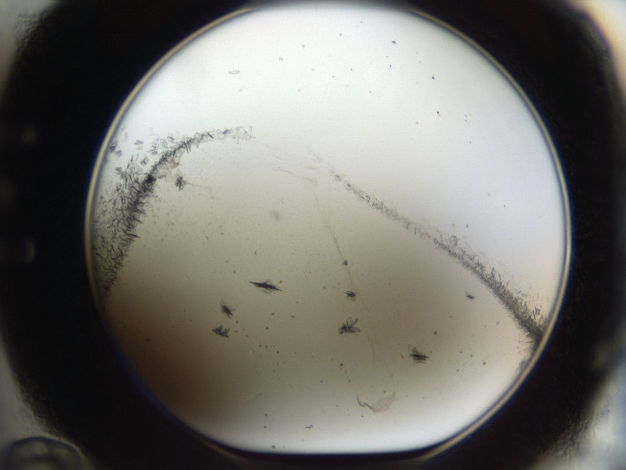 04m8_E12_ImagerDefaults_6.jpg