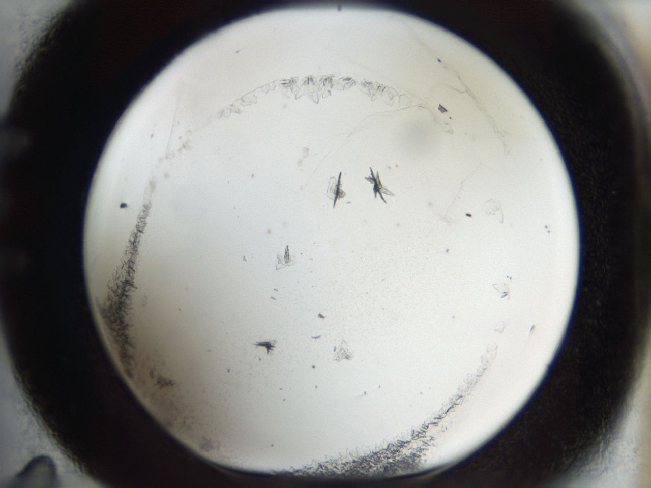 04m8_E11_ImagerDefaults_6.jpg
