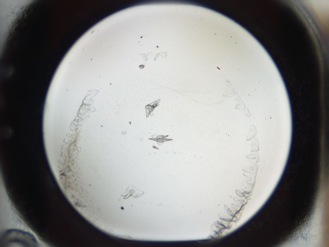 04m8_E10_ImagerDefaults_7.jpg