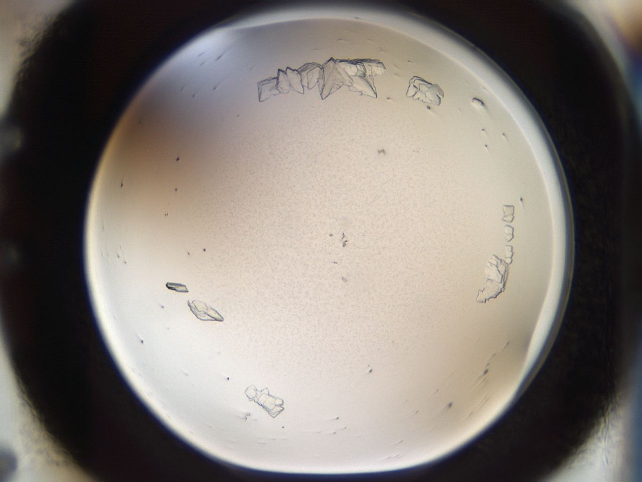 04m8_E7_ImagerDefaults_7.jpg