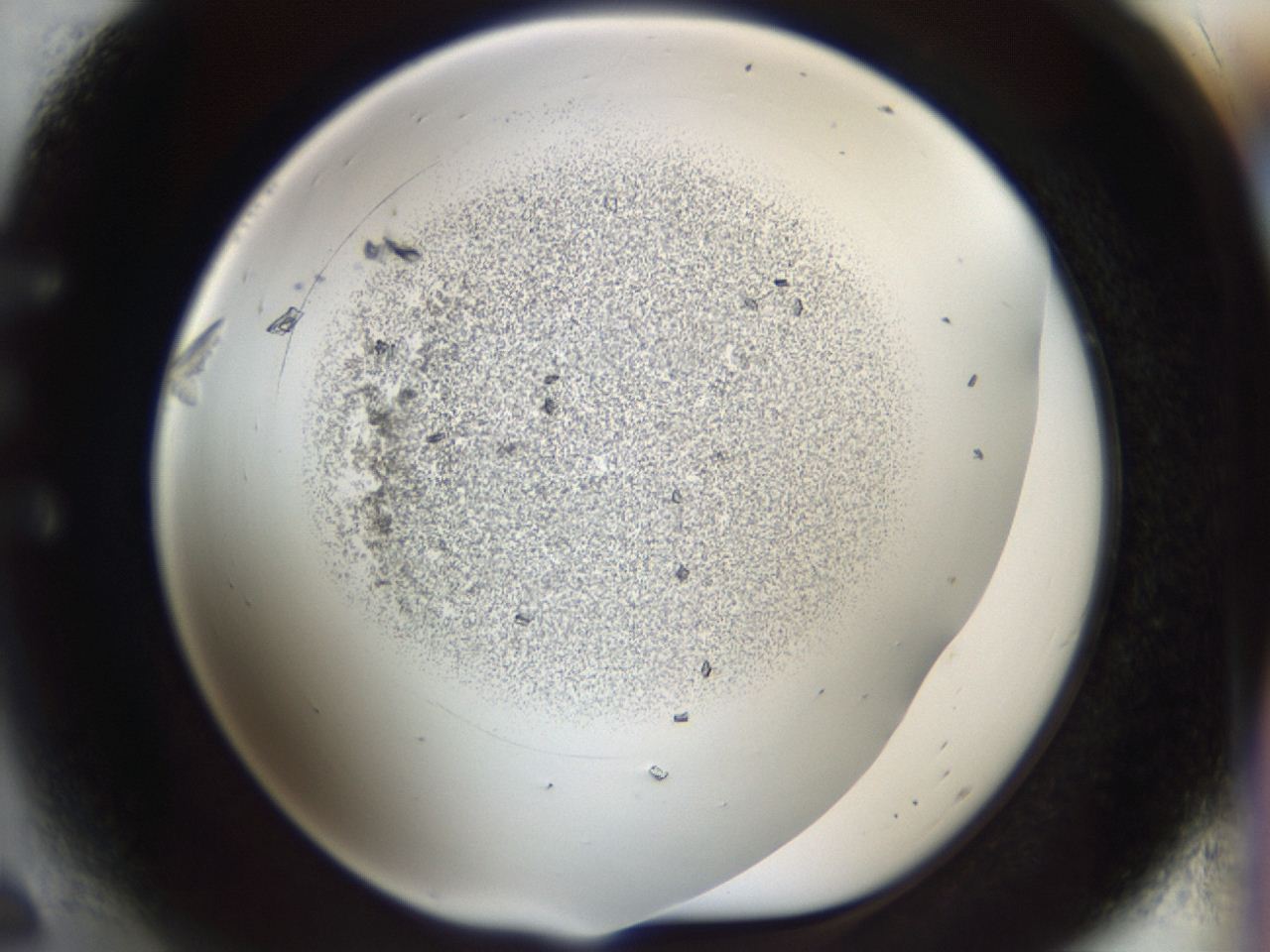 04m8_E6_ImagerDefaults_6.jpg