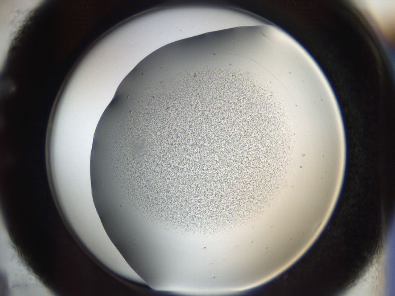 04m8_E4_ImagerDefaults_6.jpg