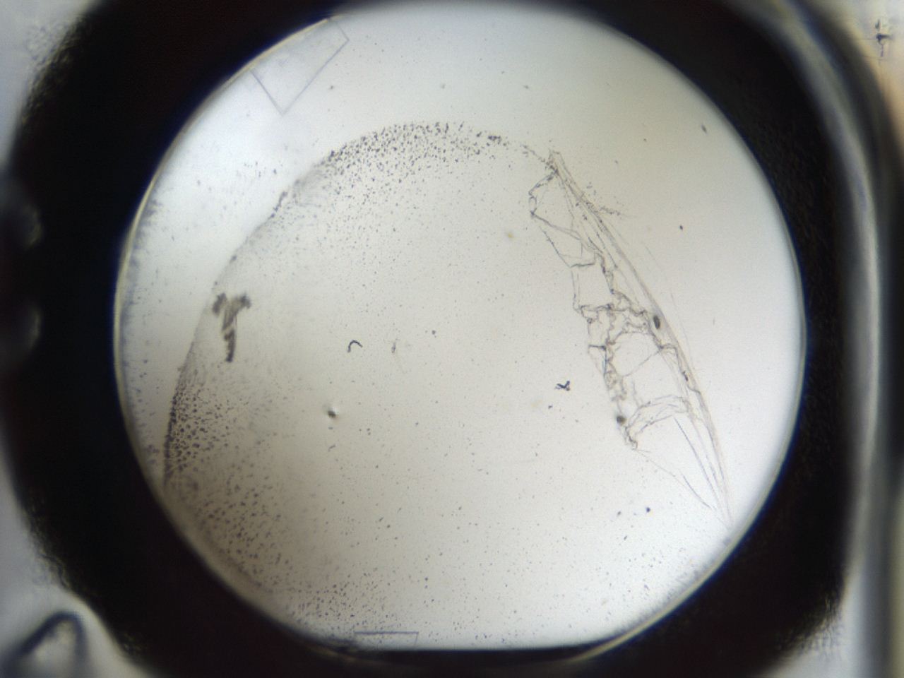 04m8_C11_ImagerDefaults_9.jpg