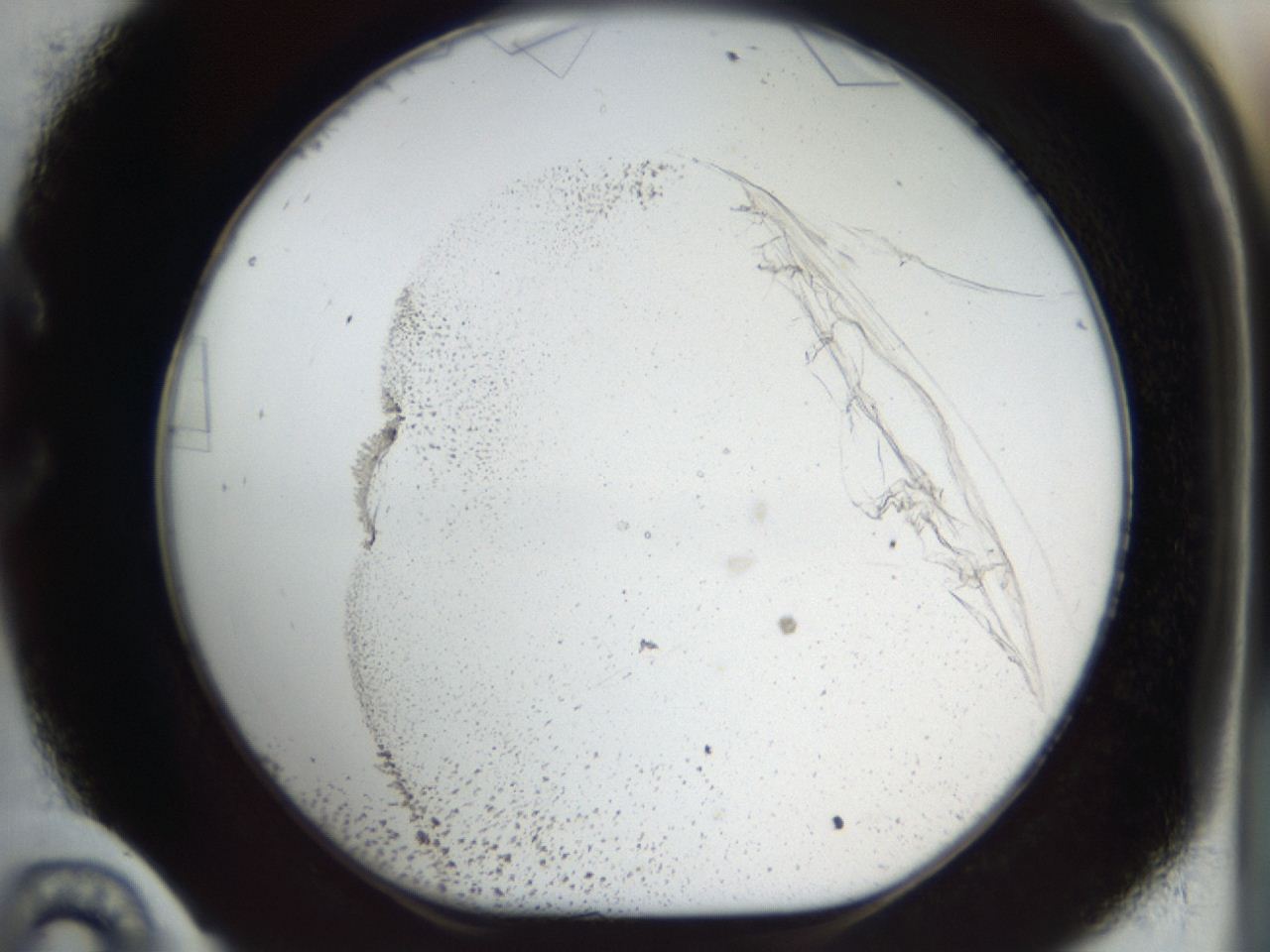 04m8_C10_ImagerDefaults_9.jpg