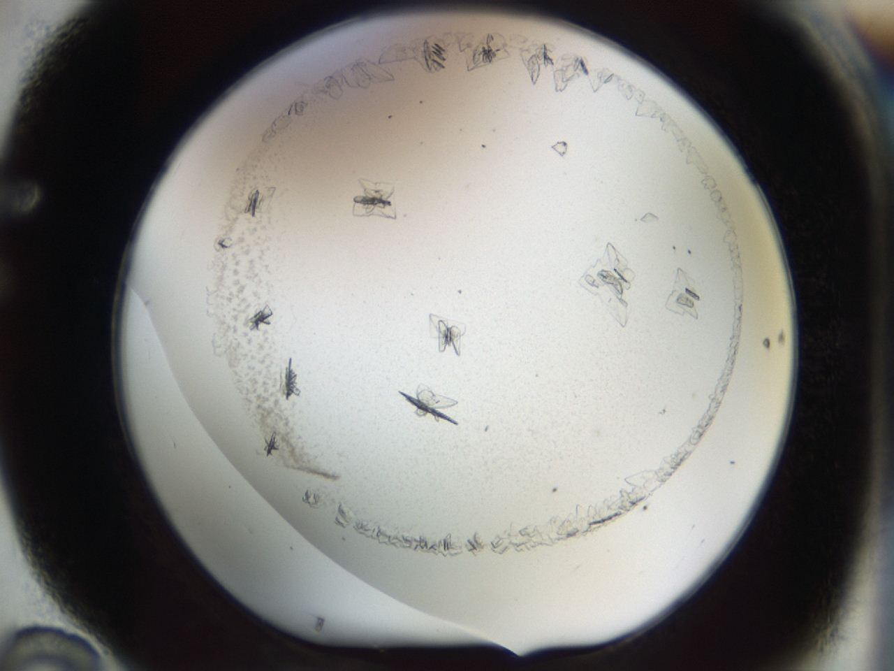 04m8_F10_ImagerDefaults_7.jpg