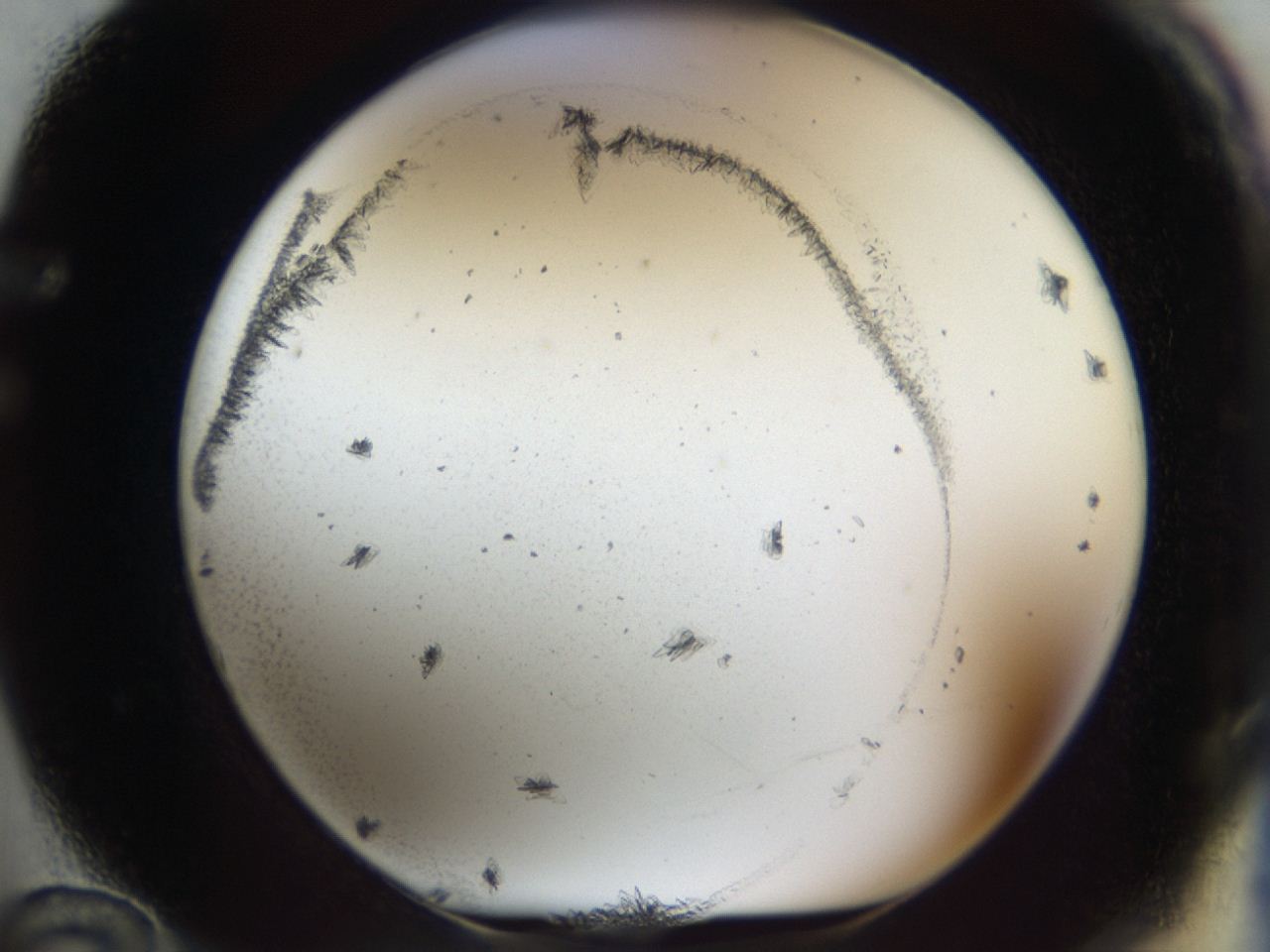 04m8_F12_ImagerDefaults_6.jpg