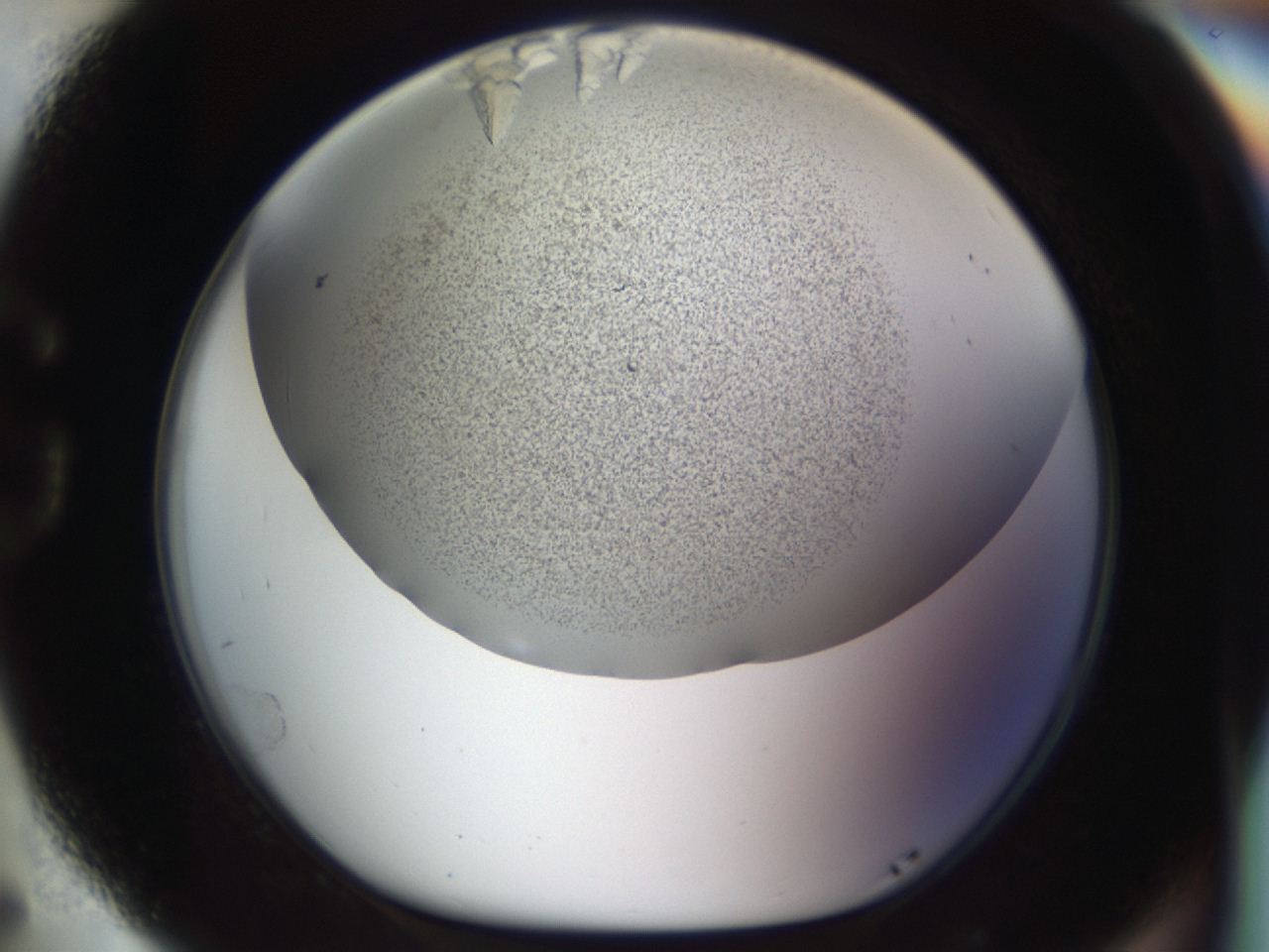 04m8_G5_ImagerDefaults_8.jpg