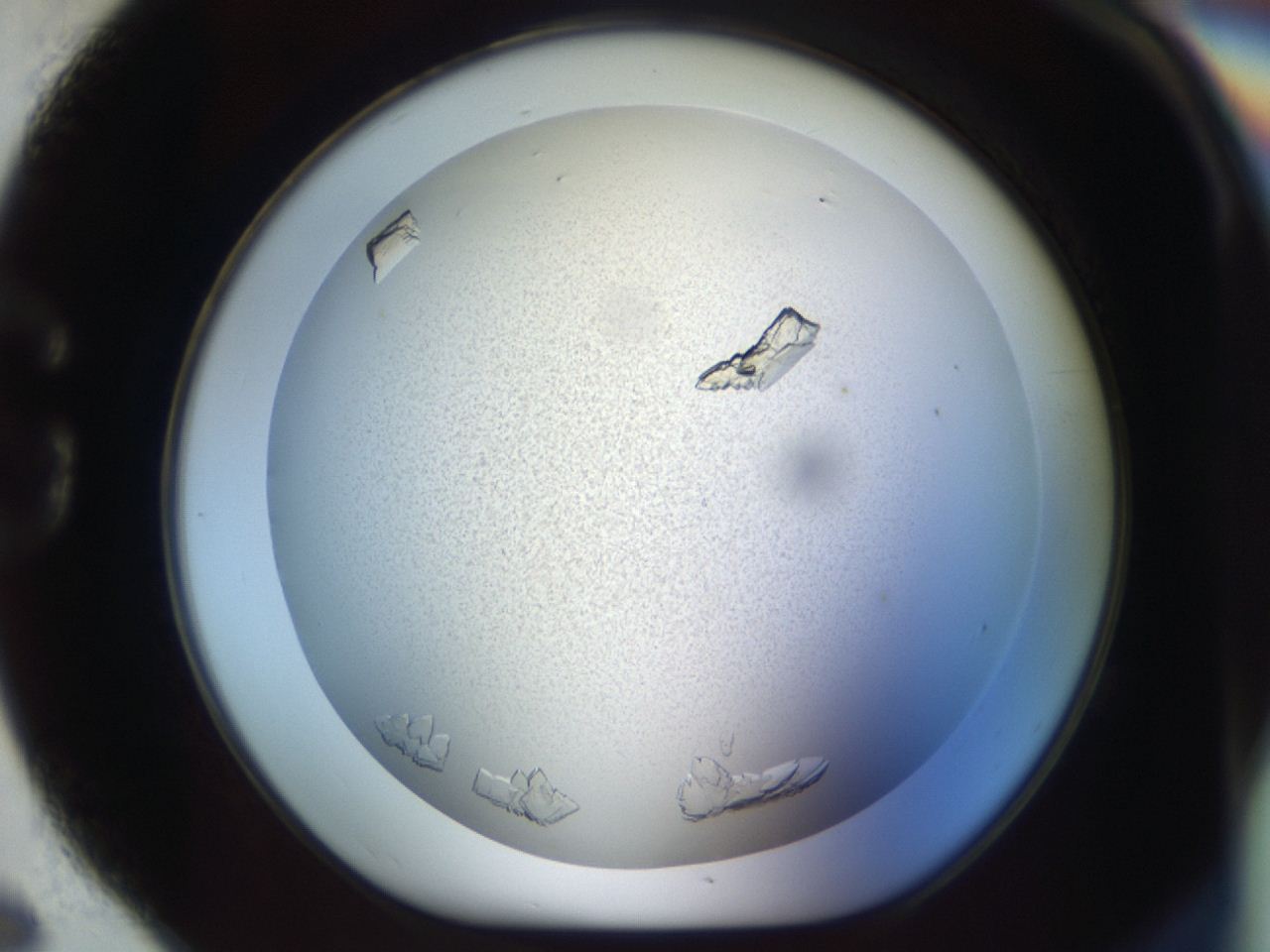 04m8_G6_ImagerDefaults_8.jpg