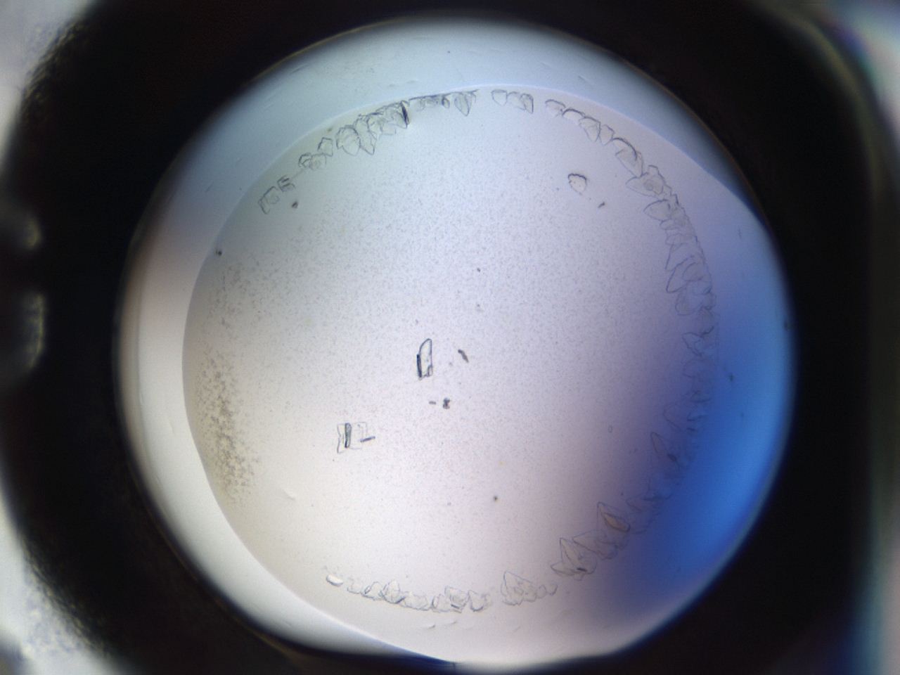 04m8_G8_ImagerDefaults_7.jpg