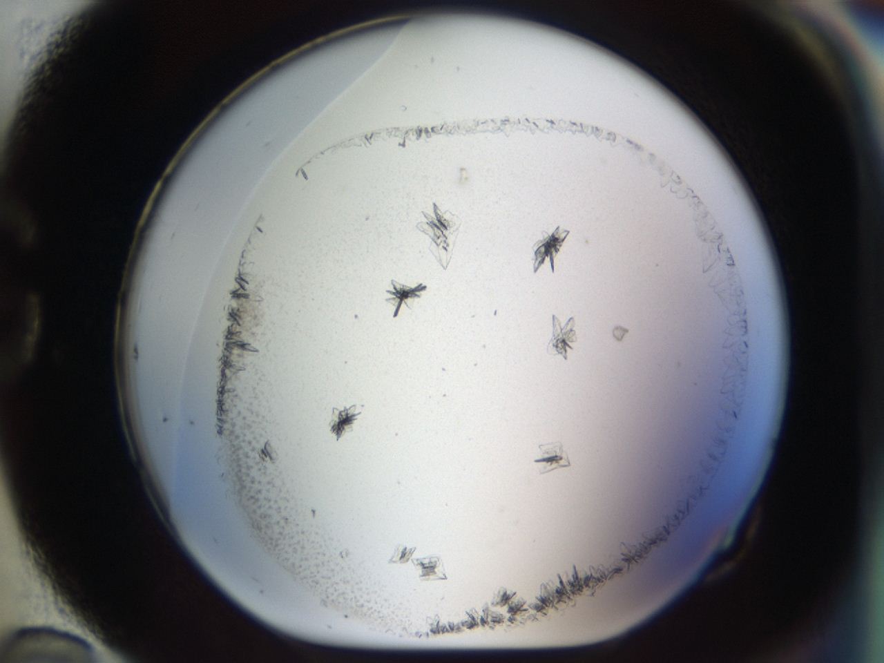 04m8_G10_ImagerDefaults_6.jpg