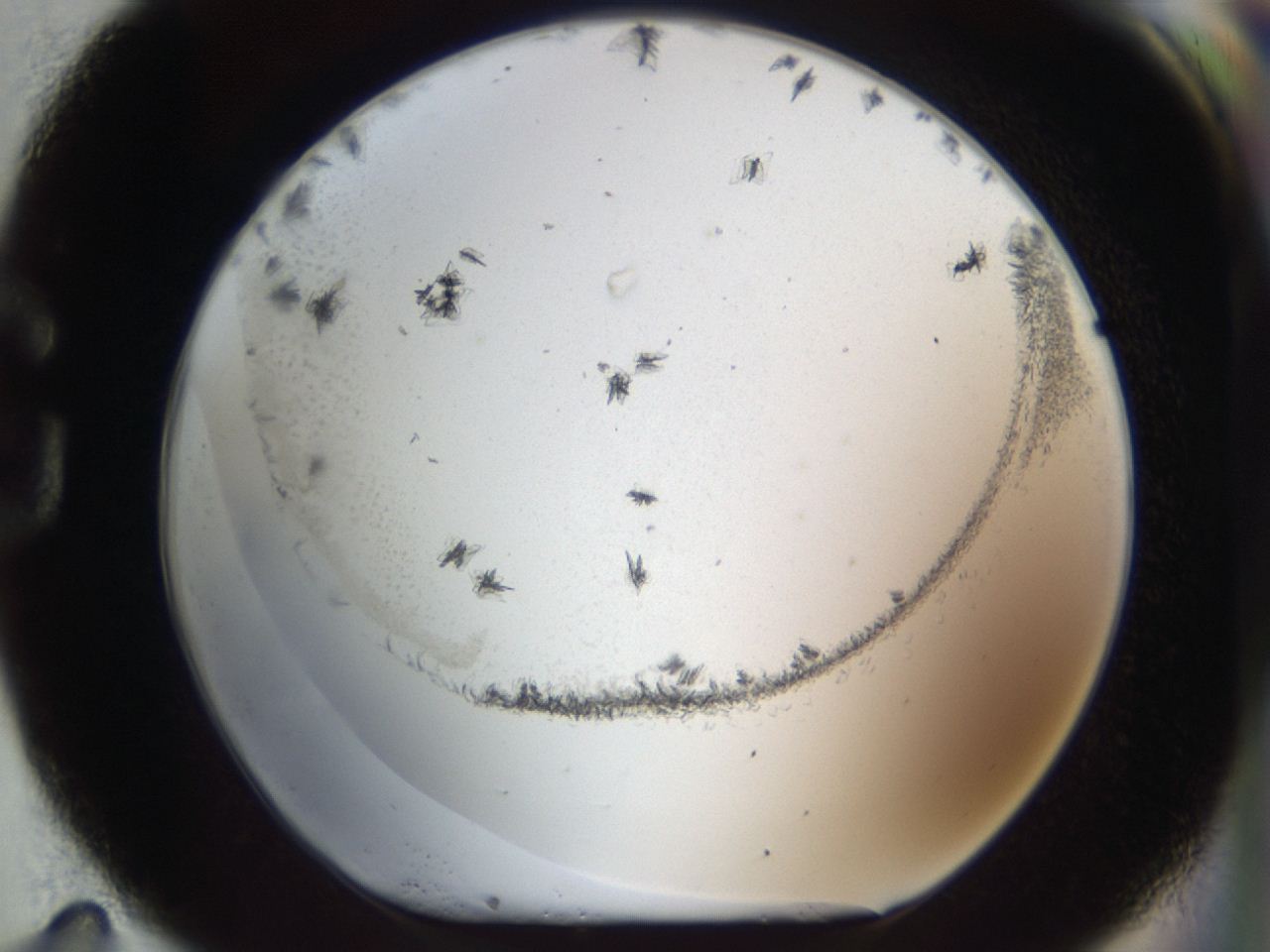 04m8_G11_ImagerDefaults_6.jpg