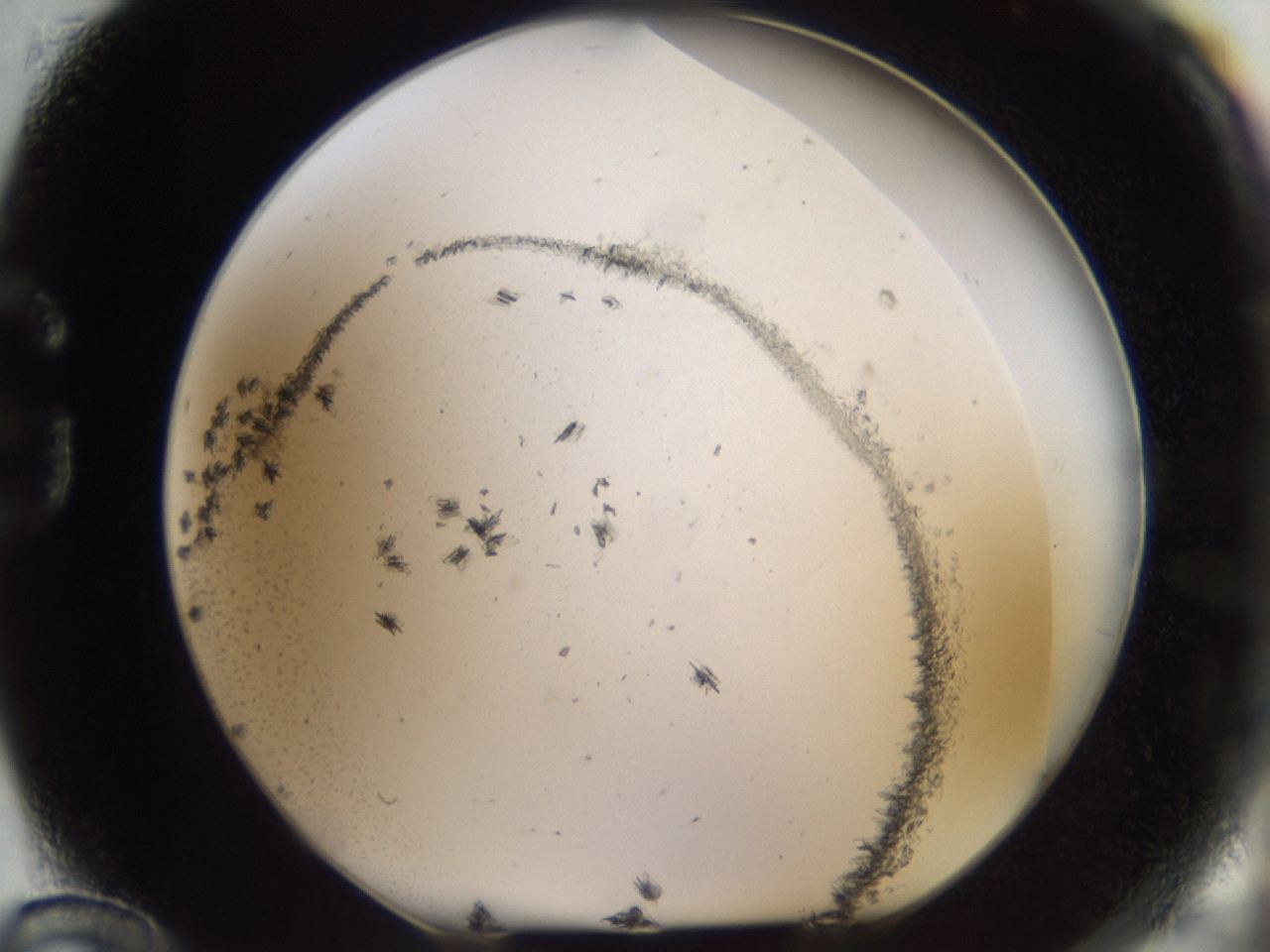 04m8_G12_ImagerDefaults_6.jpg