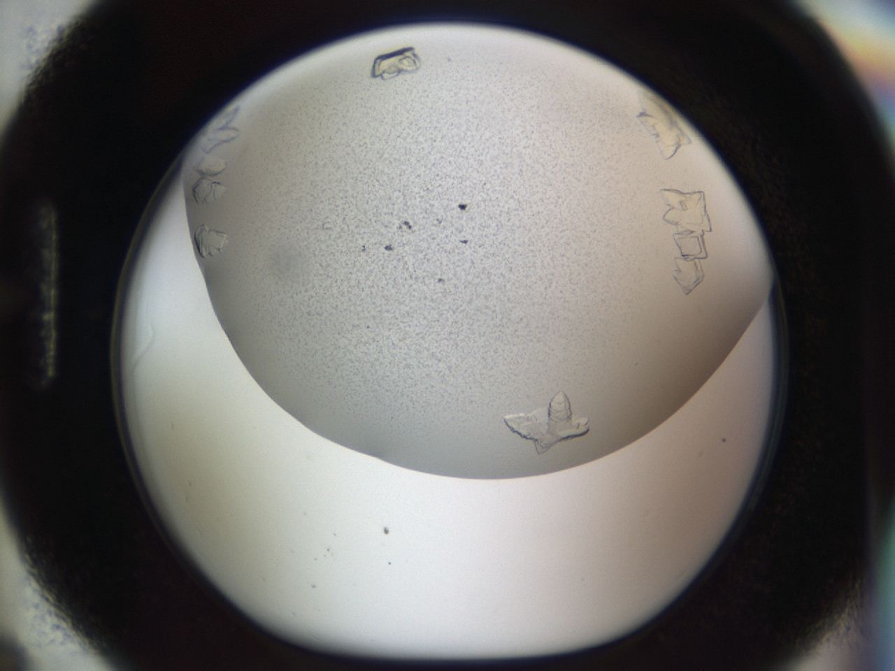 04m8_H6_ImagerDefaults_7.jpg