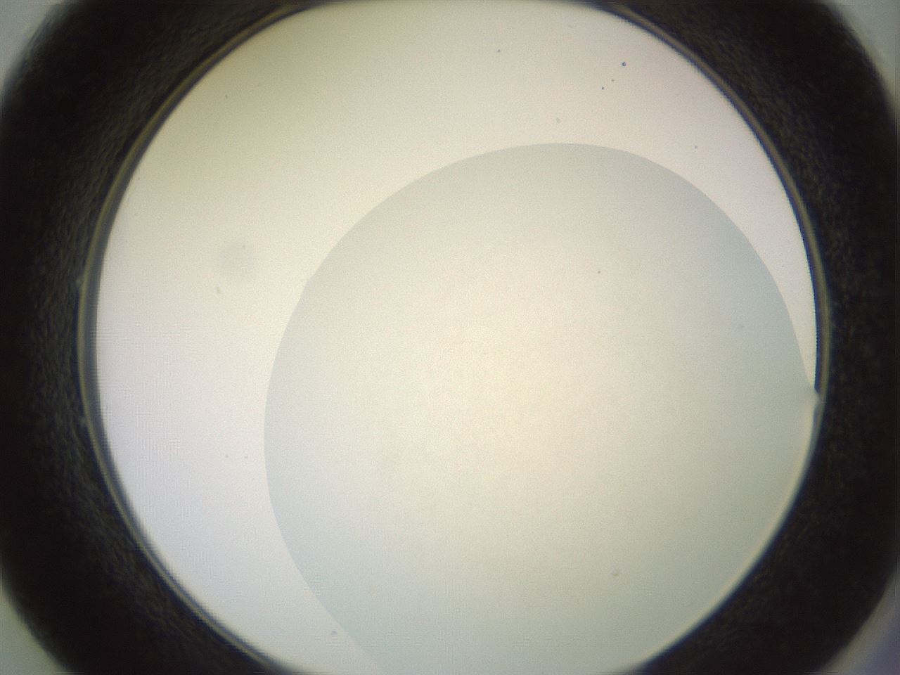 folderID646_plateID3646_batchID22348_wellNum49_profileID1_d2_r323986_ef.jpg