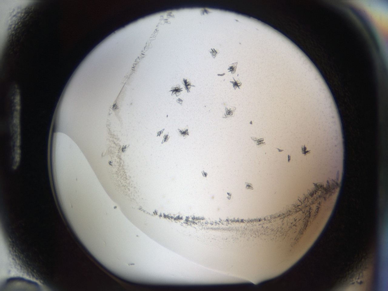 04m8_H10_ImagerDefaults_6.jpg