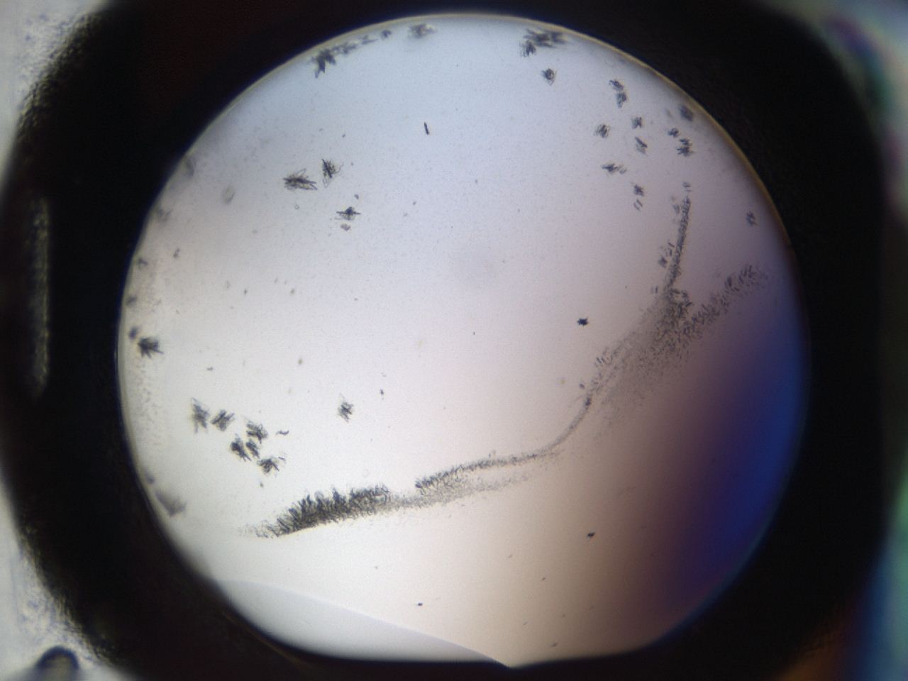 04m8_H11_ImagerDefaults_6.jpg