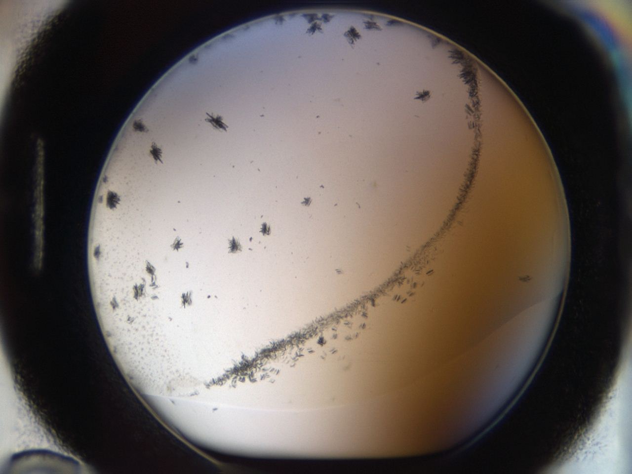 04m8_H12_ImagerDefaults_6.jpg