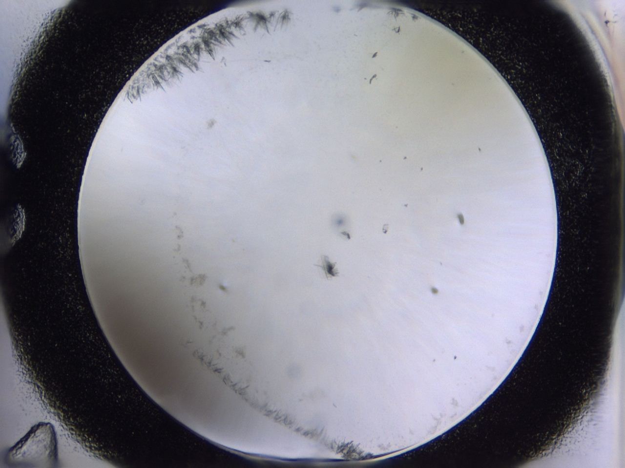 04m9_C11_ImagerDefaults_6.jpg