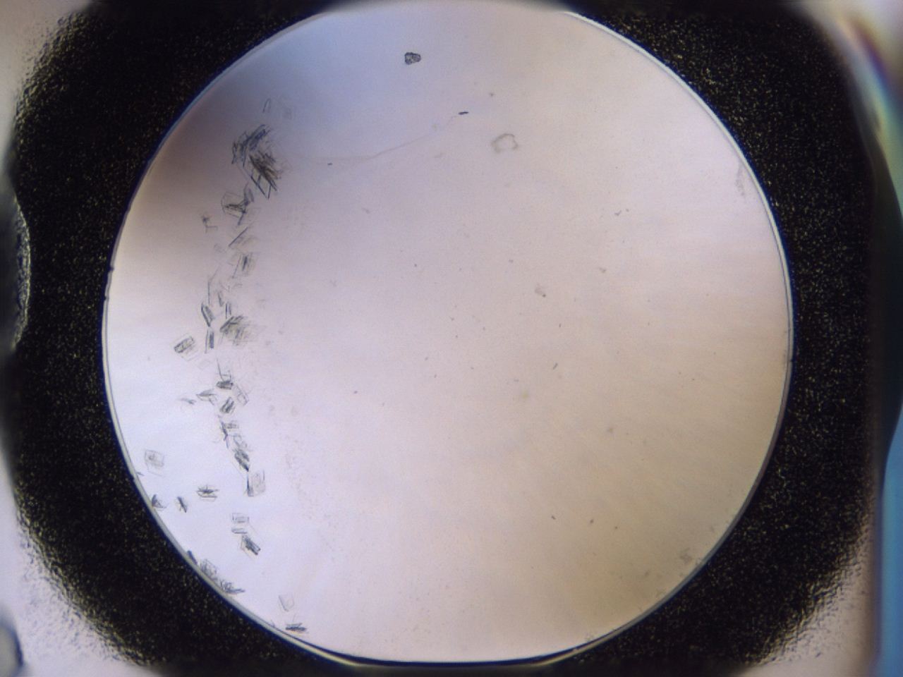 04m9_D8_ImagerDefaults_7.jpg