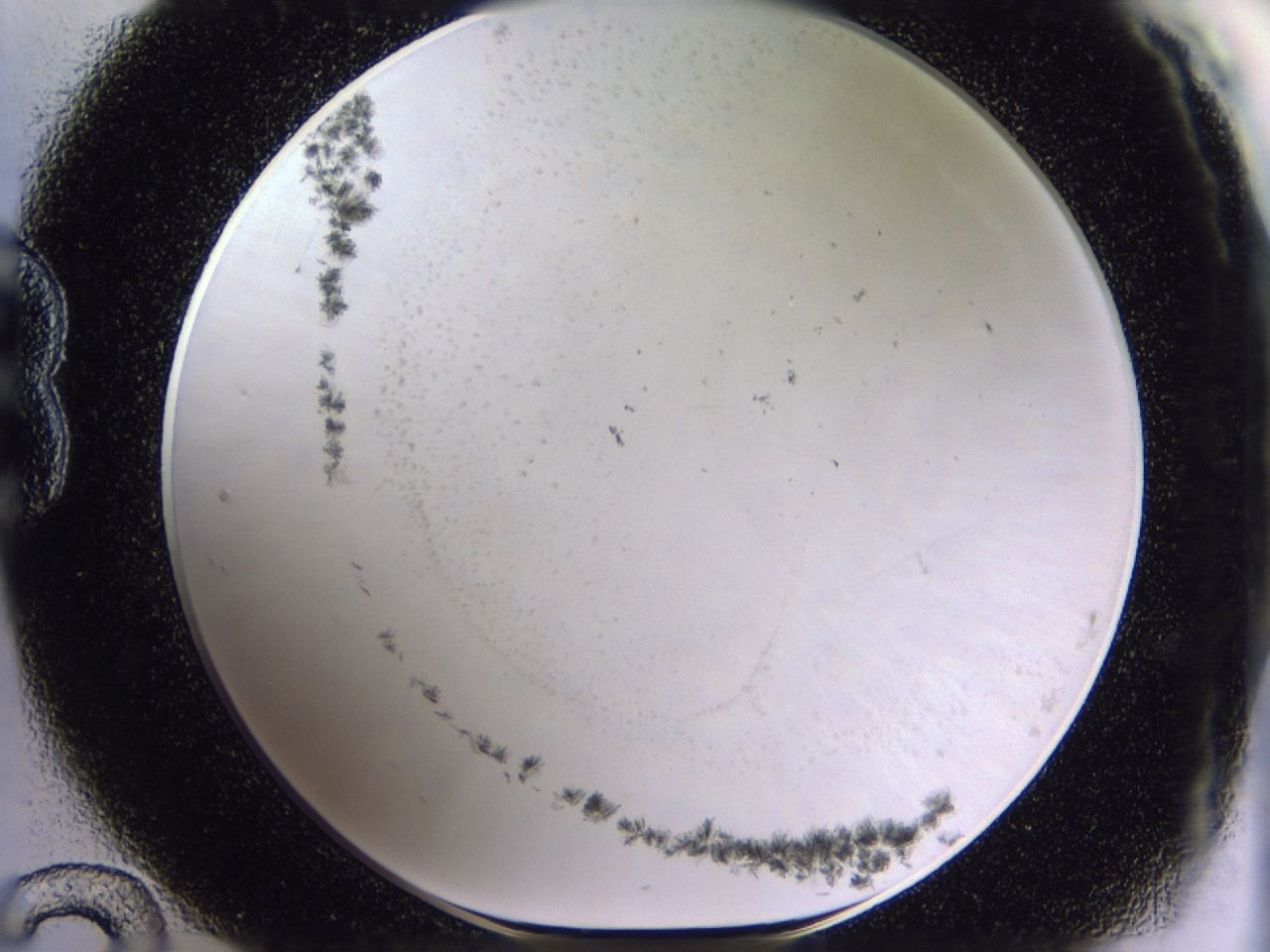04m9_B12_ImagerDefaults_6.jpg