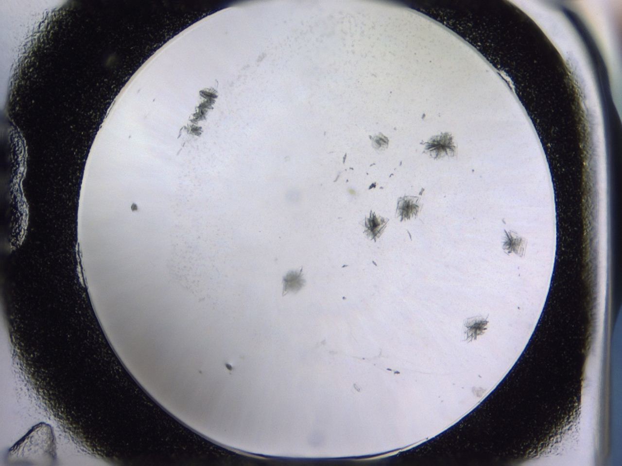 04m9_B11_ImagerDefaults_6.jpg