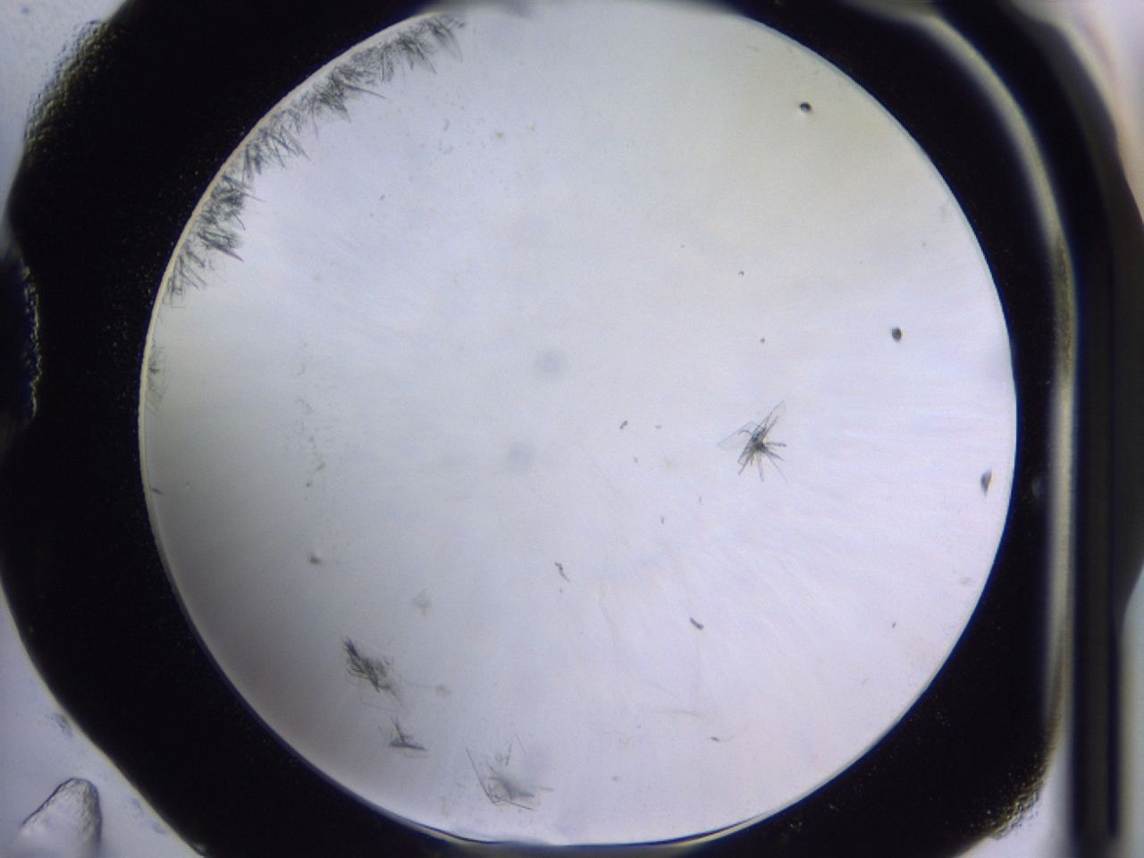 04m9_D11_ImagerDefaults_6.jpg
