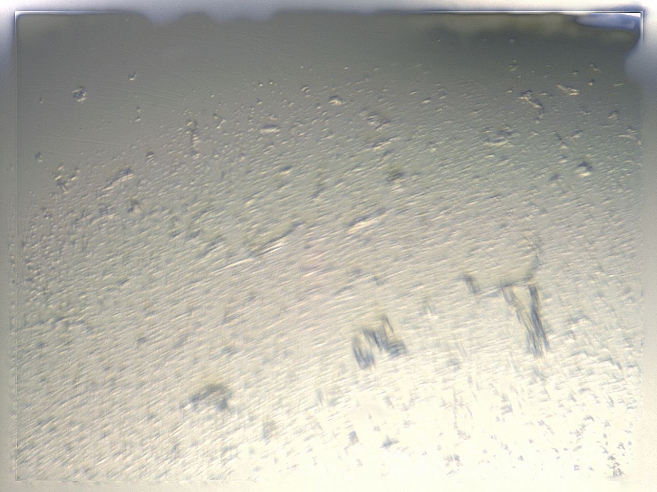 04md_A1_ImagerDefaults_6.jpg