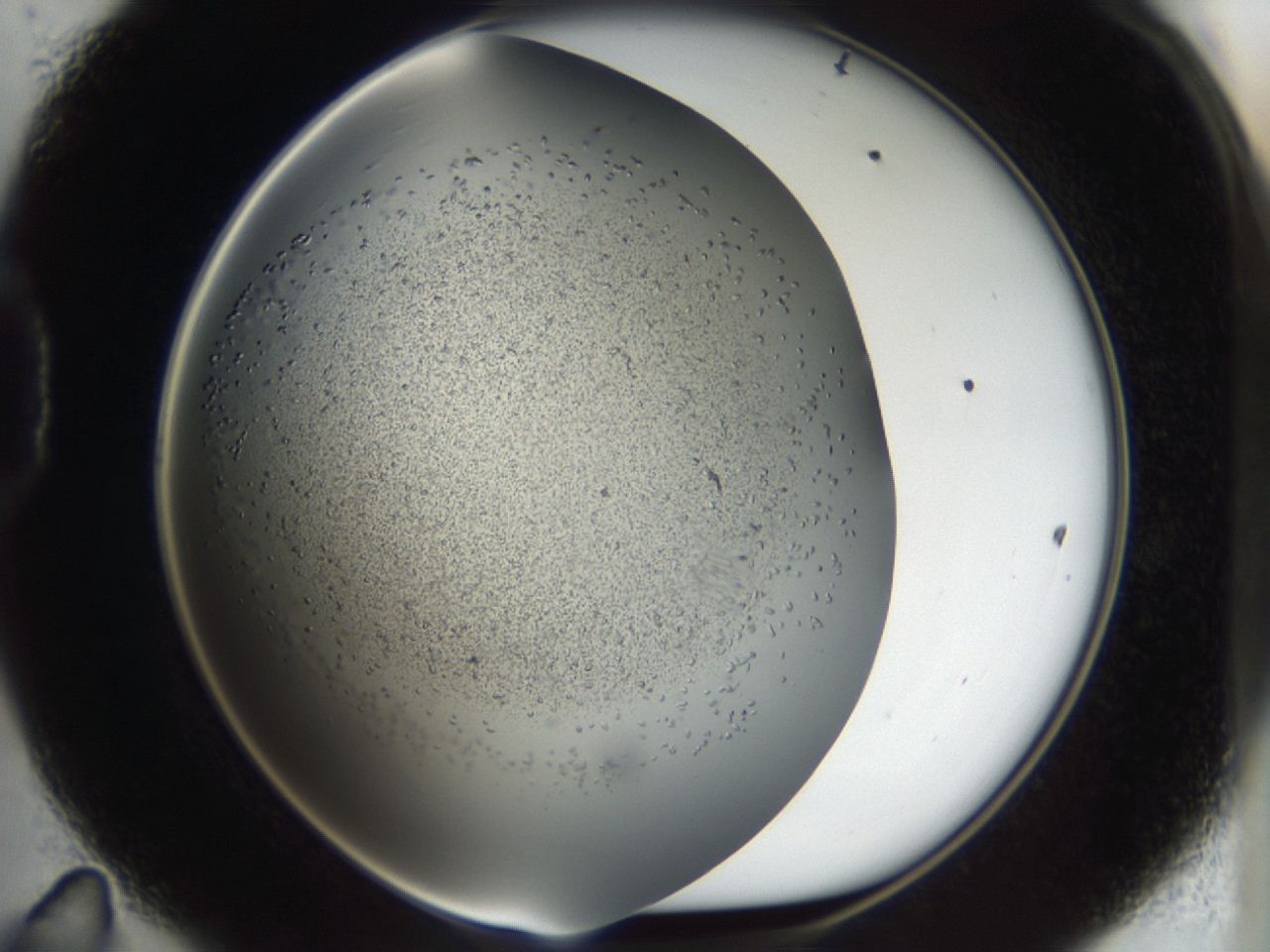 04md_D11_ImagerDefaults_7.jpg
