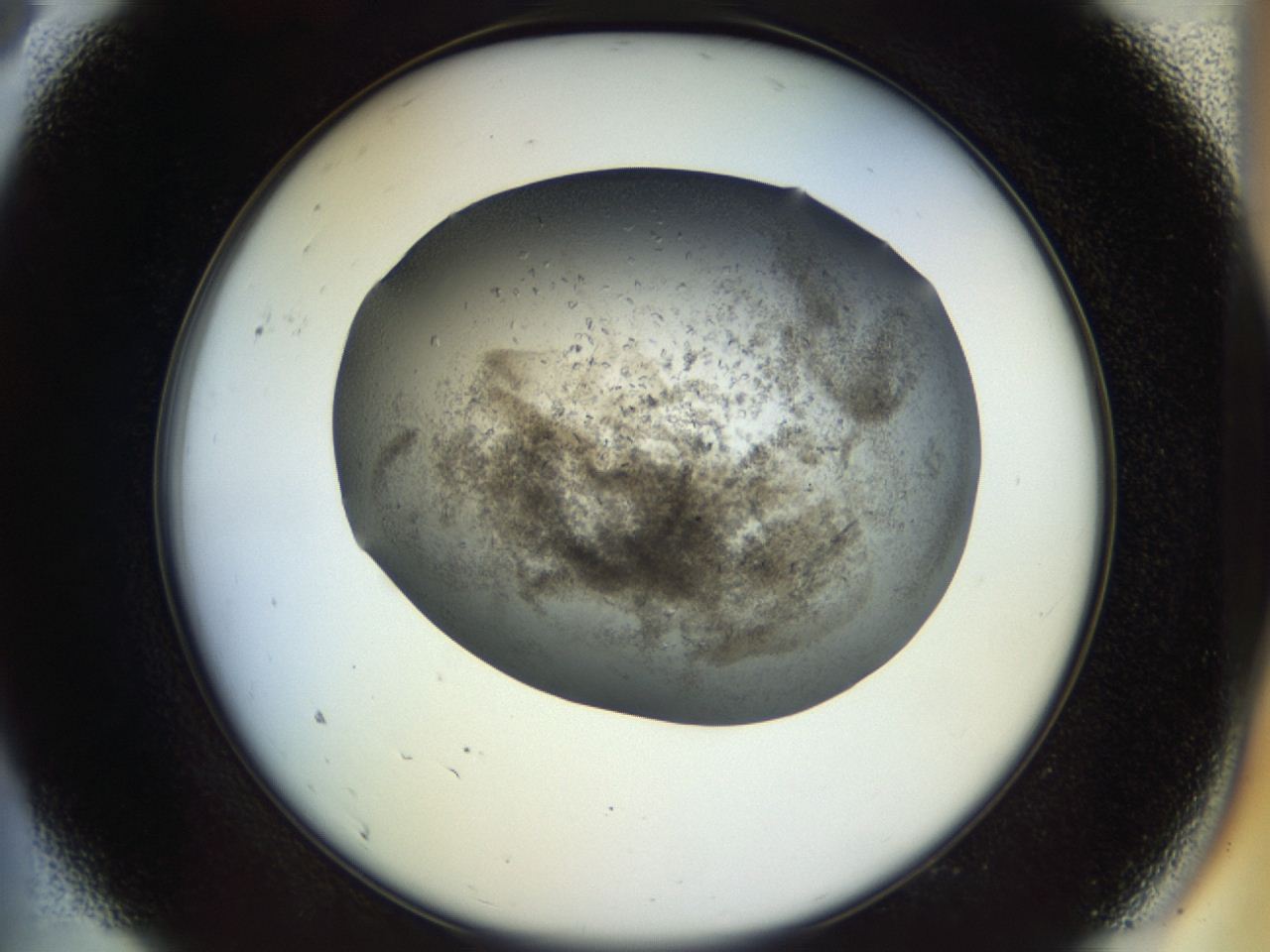 04n9_A9_ImagerDefaults_8.jpg