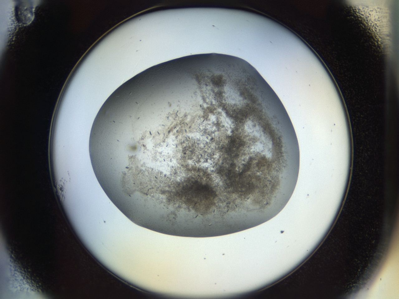04n9_A11_ImagerDefaults_7.jpg