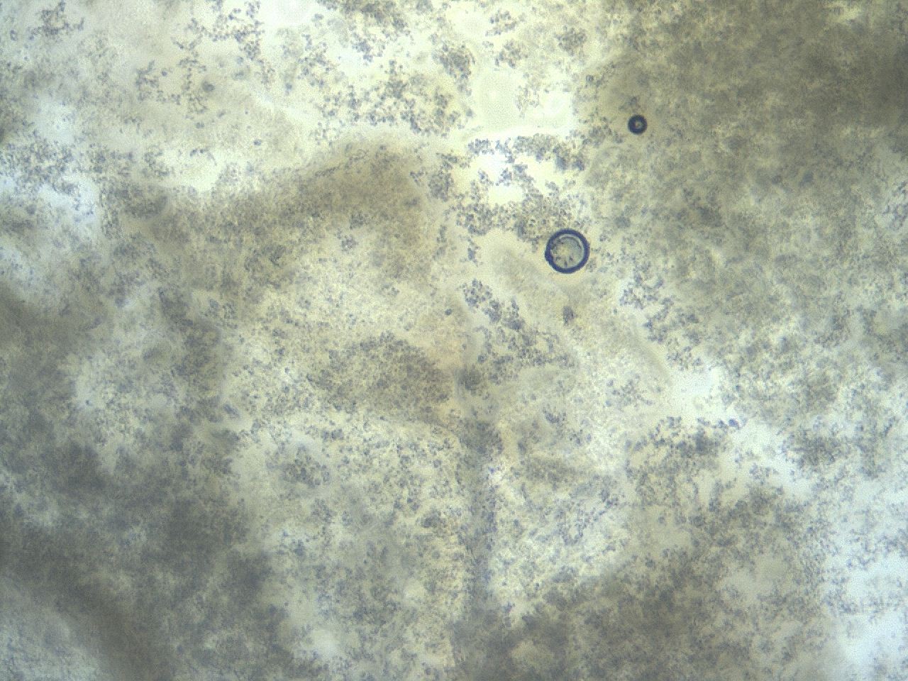 04n9_A12_ImagerDefaults_8.jpg
