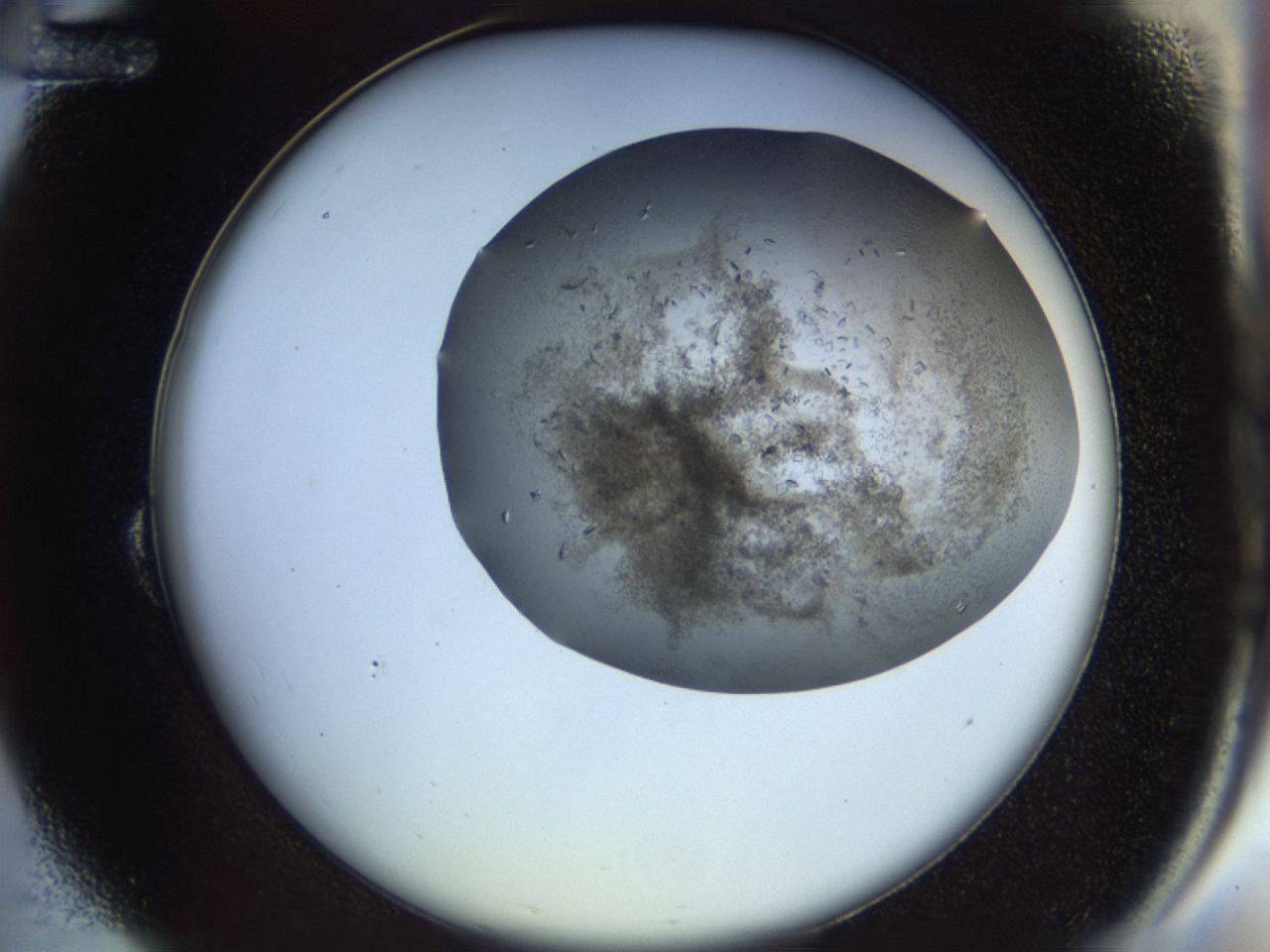04n9_B12_ImagerDefaults_8.jpg