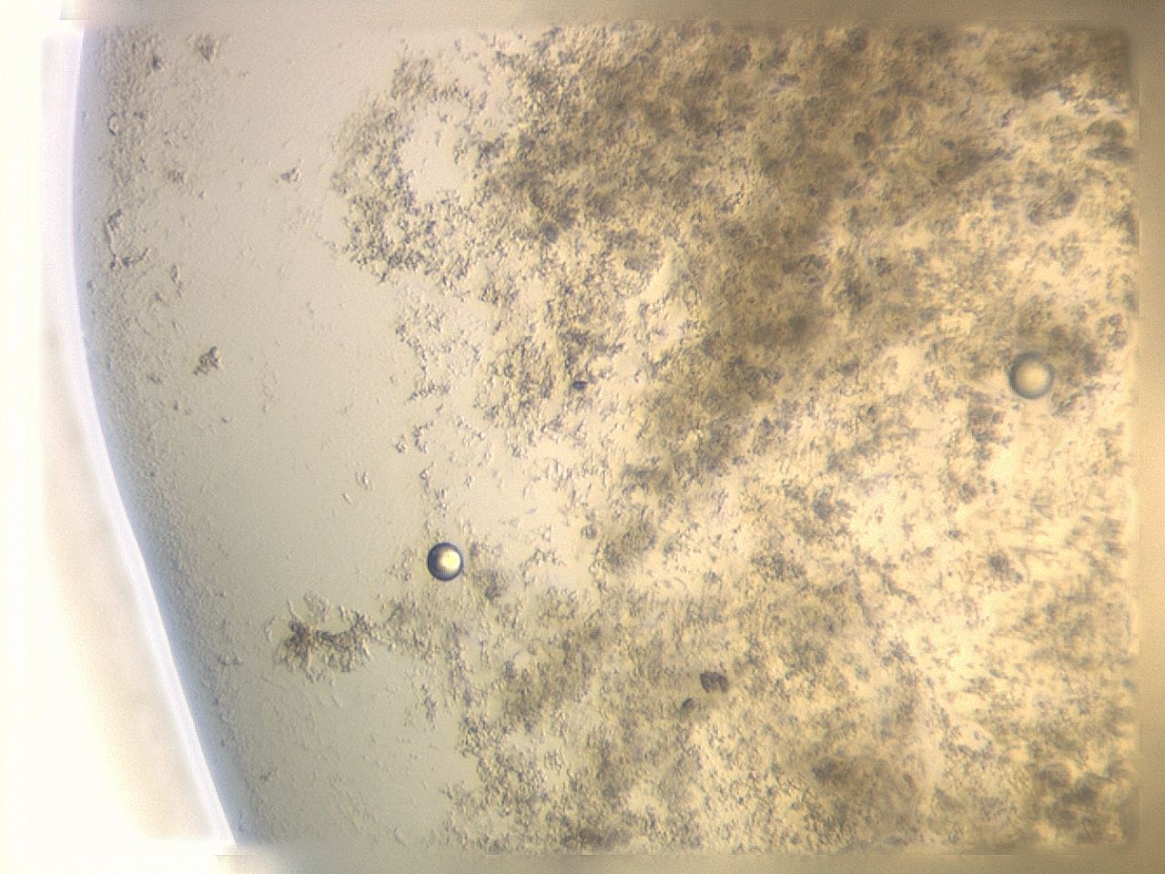 04n9_D3_ImagerDefaults_8.jpg