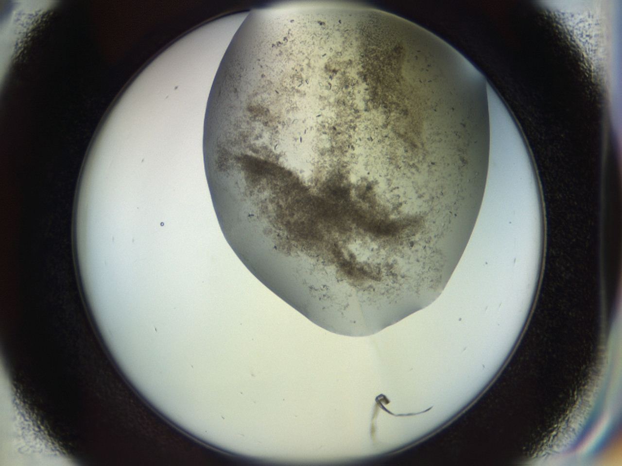04n9_D9_ImagerDefaults_7.jpg