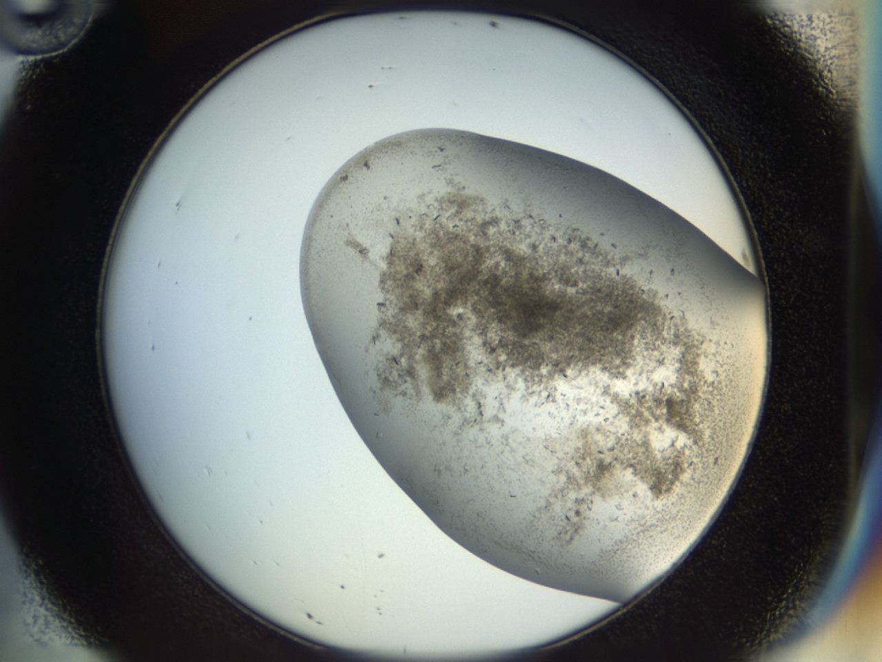 04n9_D10_ImagerDefaults_6.jpg