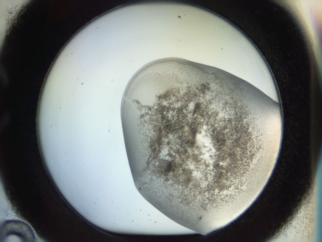 04n9_C10_ImagerDefaults_8.jpg