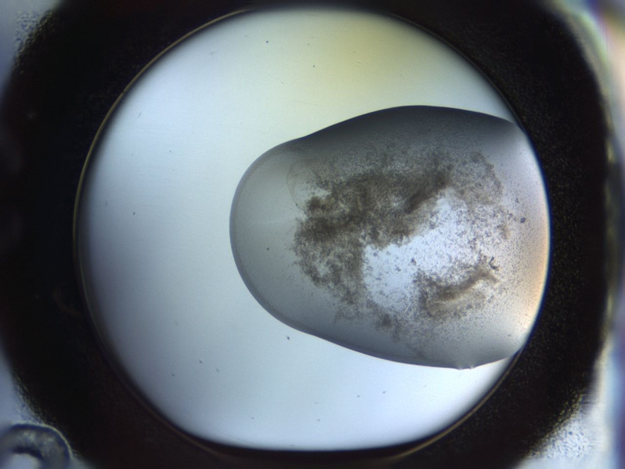 04n9_C12_ImagerDefaults_8.jpg