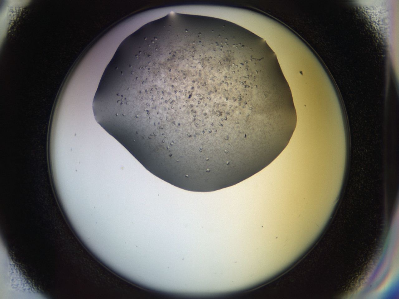 04n9_E9_ImagerDefaults_9.jpg