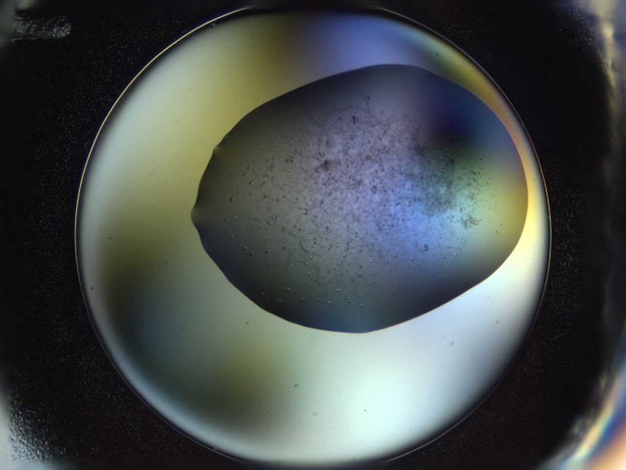 04n9_F12_ImagerDefaults_8.jpg